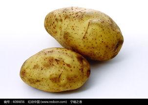 红土豆图片,大自然的馈赠，营养美味的健康之选